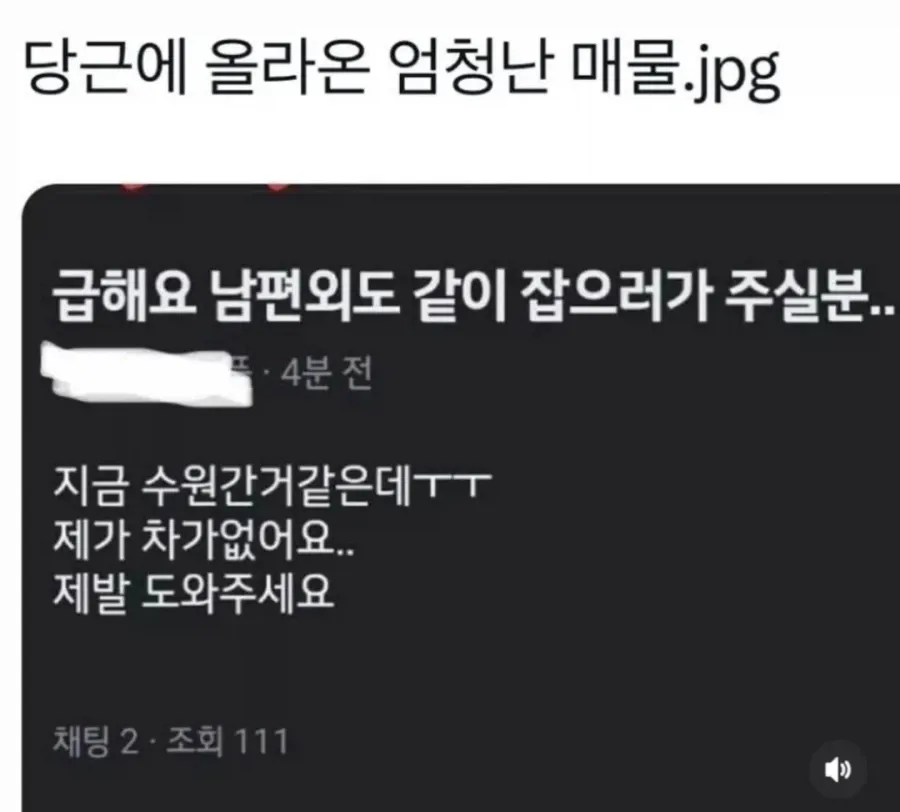 당근에 올라온 엄청난 매 이미지 1