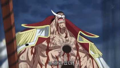 원피스 앵무새 떡밥이 진짜면 이세끼들 미친놈들이네 이미지 2