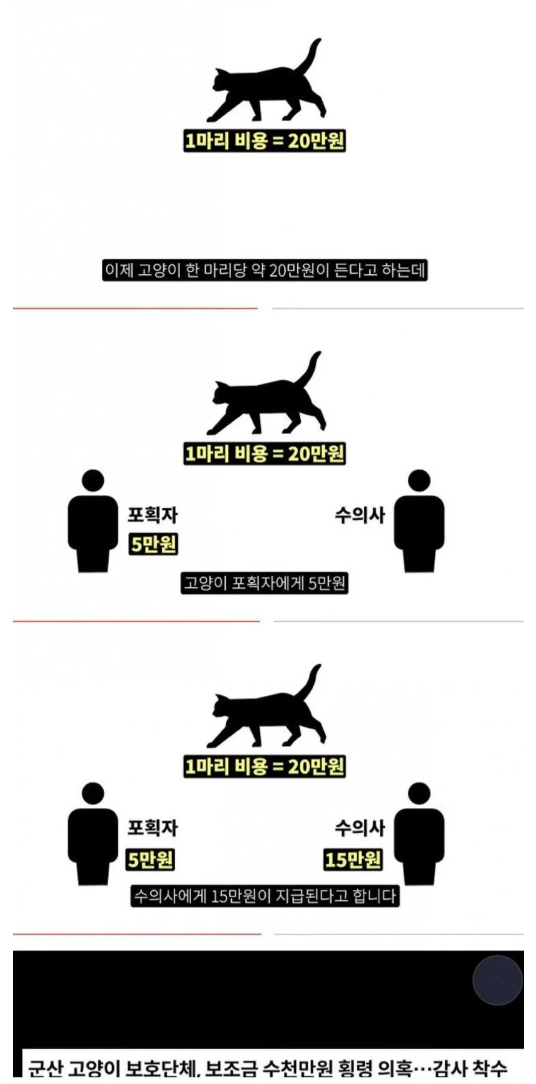 야생고양이 중성화사업이 노다지인 이유 이미지 1